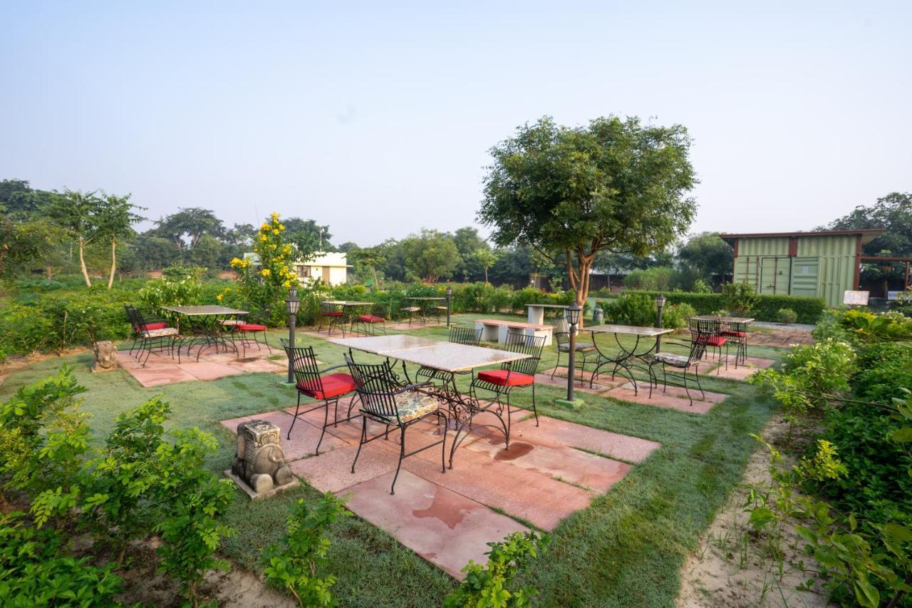 Tree Of Life Ecotainers Agra Hotel Agra  Eksteriør billede